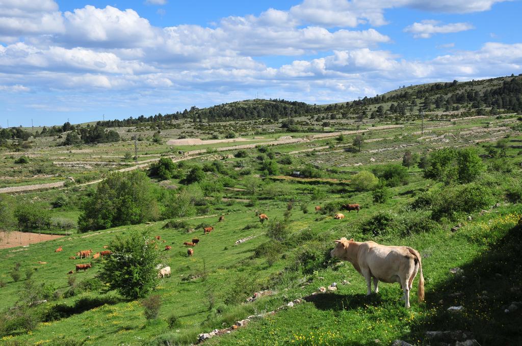 Casa Rural El Boixar - El Mirador Bojar Εξωτερικό φωτογραφία