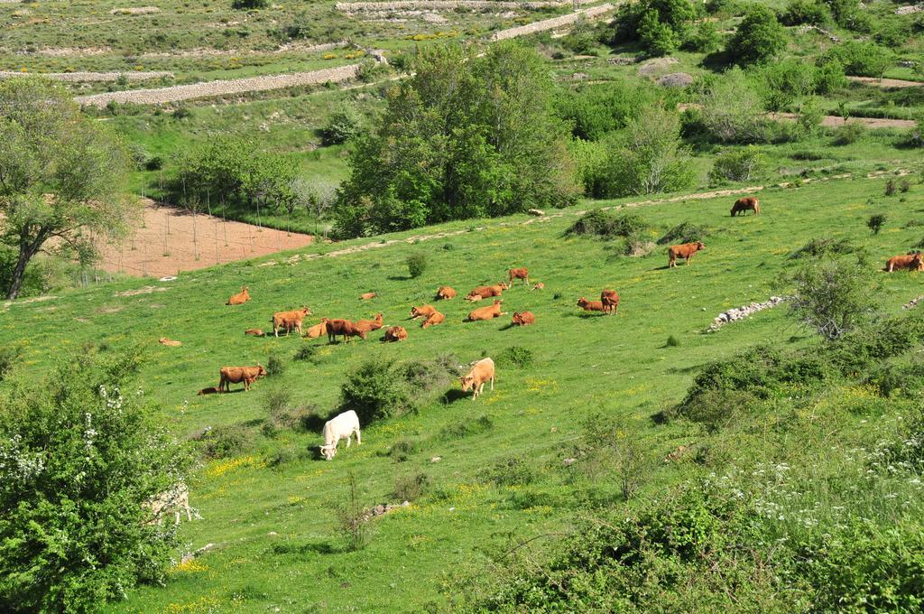 Casa Rural El Boixar - El Mirador Bojar Εξωτερικό φωτογραφία